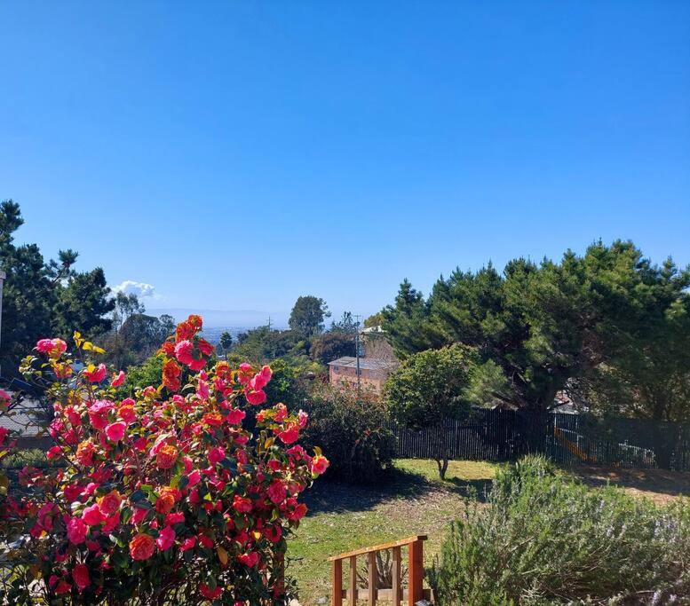 San Jose Vacations - Country Cottage on Prvt Estate w Ocean Views - Property Image 5