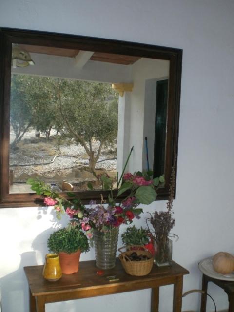 Cortijo Torreblanca Casa Rural Parque Natural Cabo de Gata