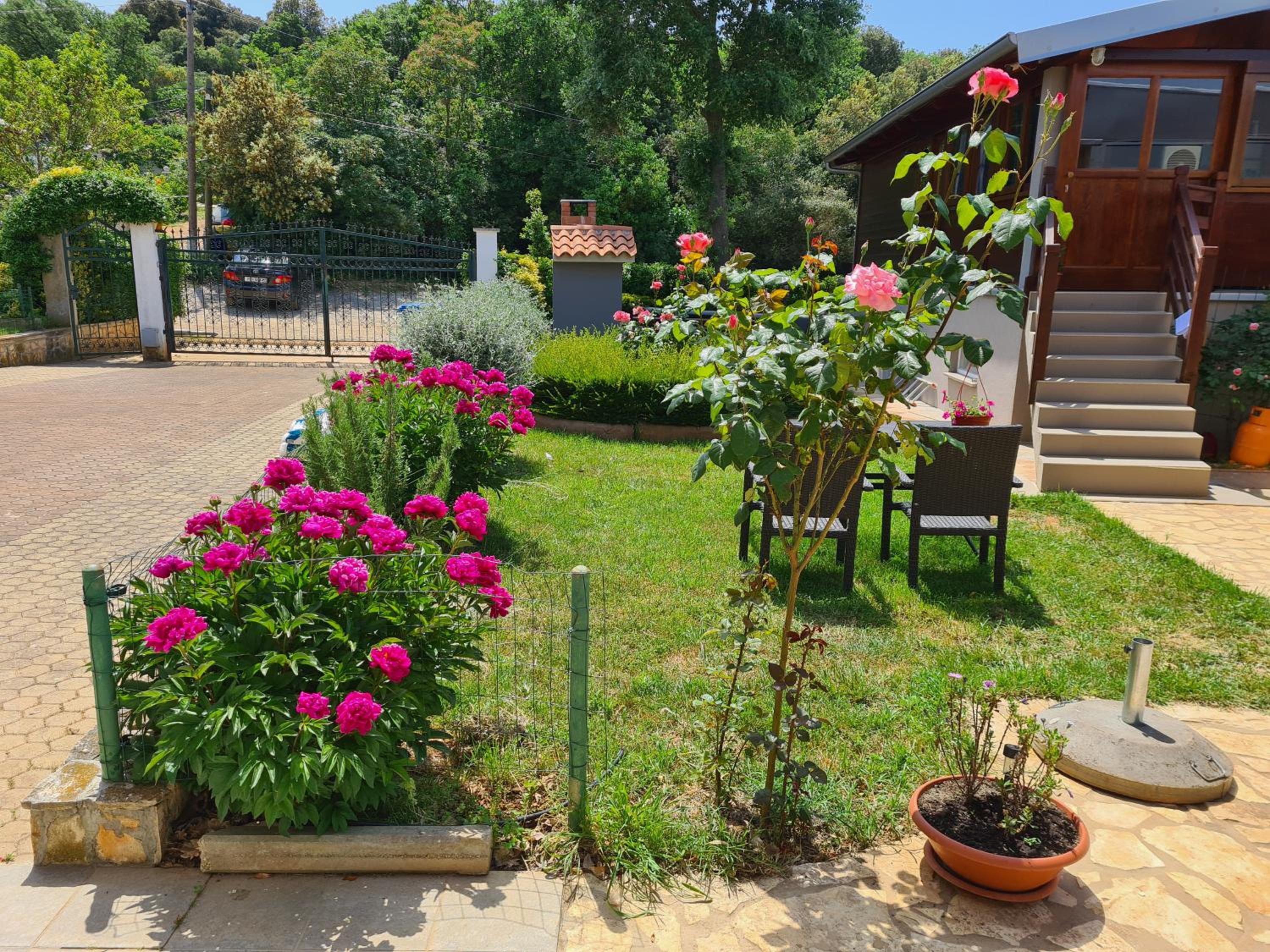 Apartments Šeherzada