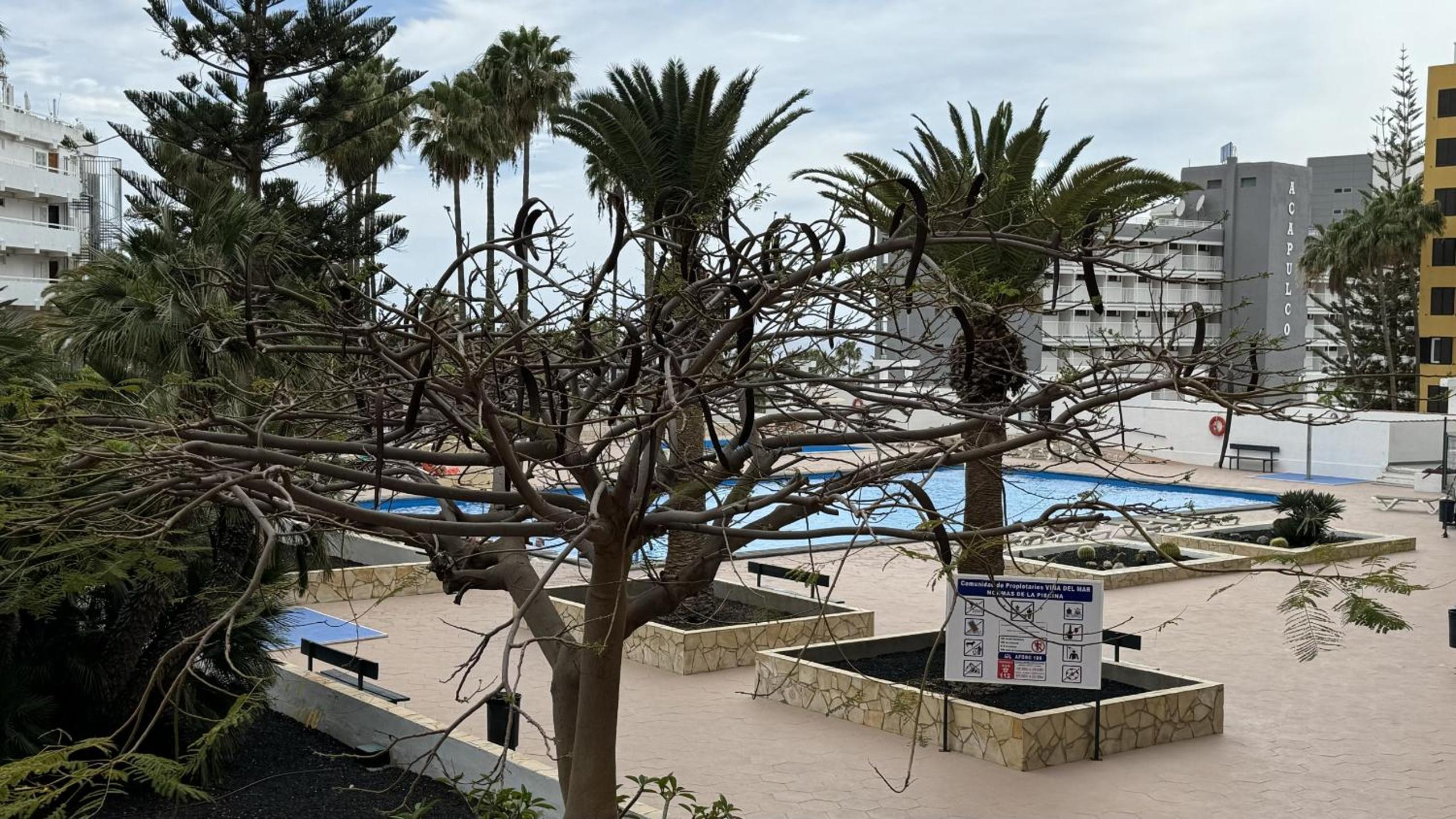 Costa Adeje Sun by Deihu Experiences en Playa de las Americas — recepcion & lobby