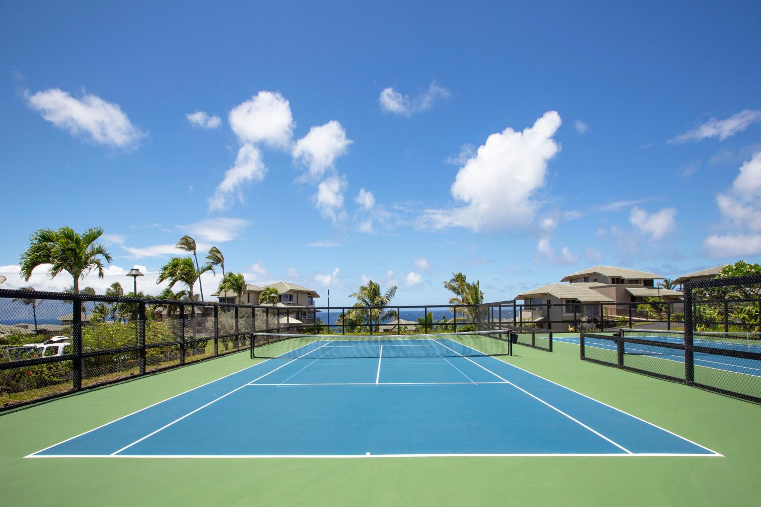 Ground Floor & ac - kbv11g2 - Sullivan Properties view 3