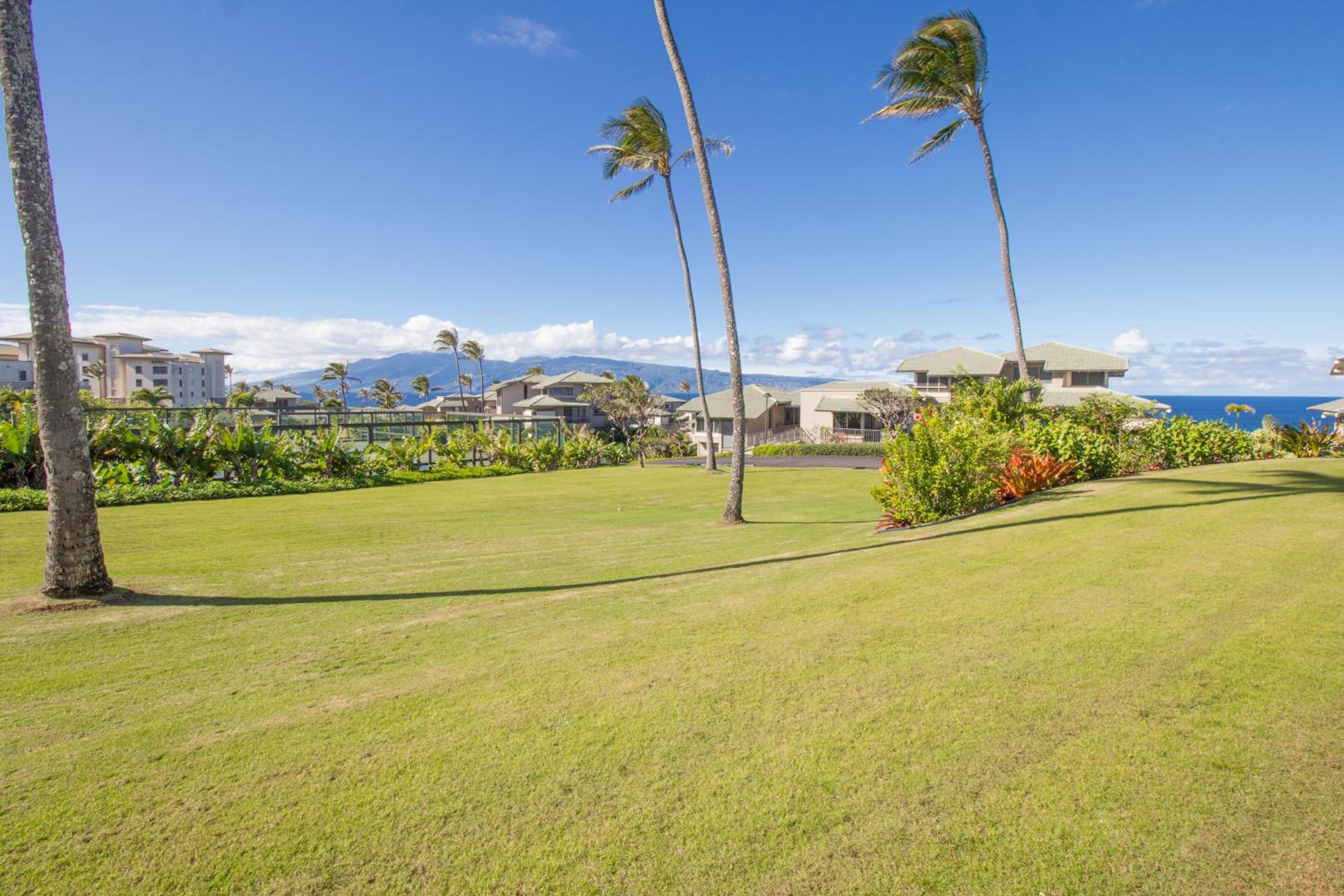 Ground Floor & ac - kbv11g2 - Sullivan Properties view 4