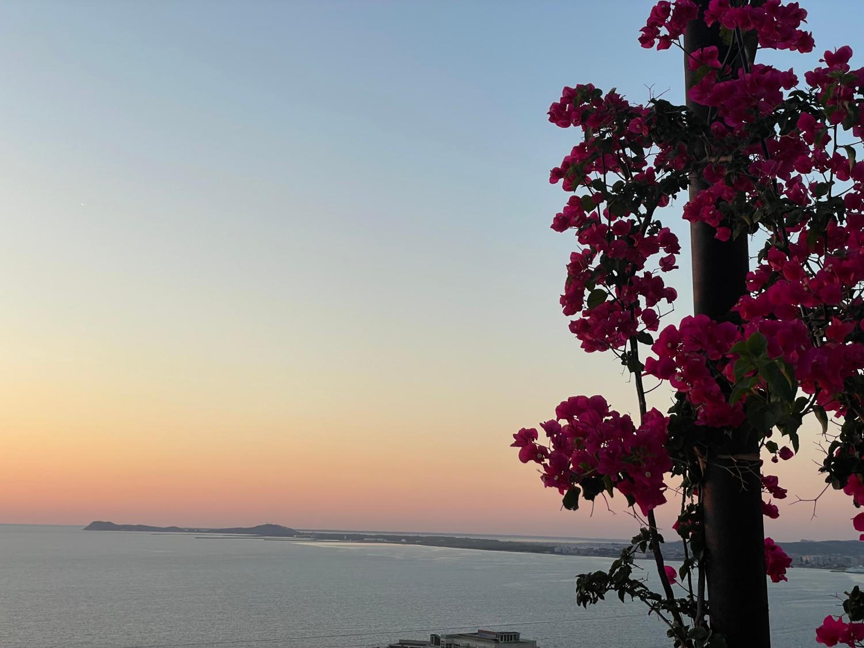 Sunset Vista Guesthouse