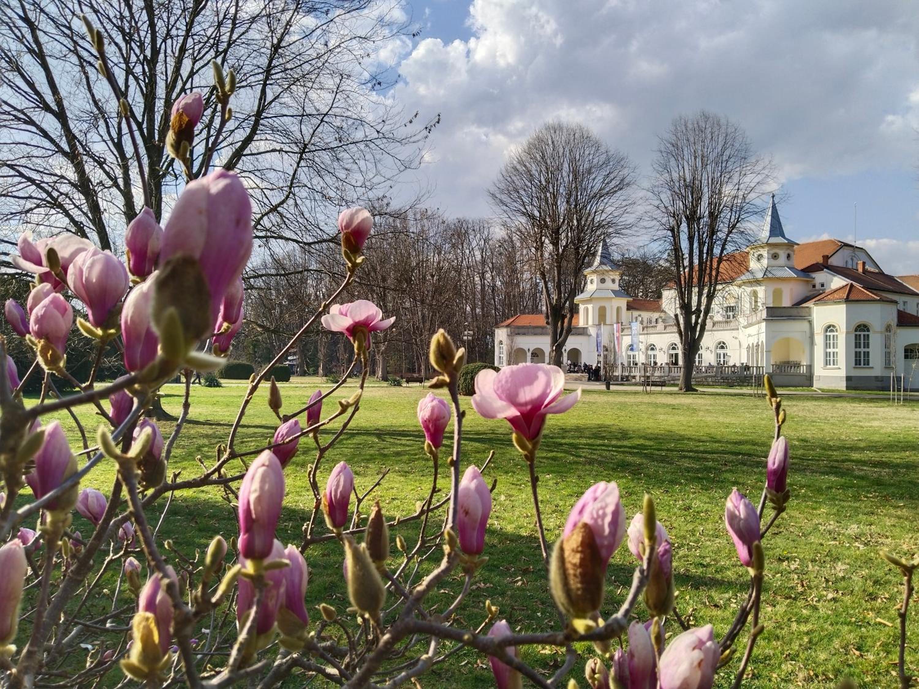 Apartman Sofia