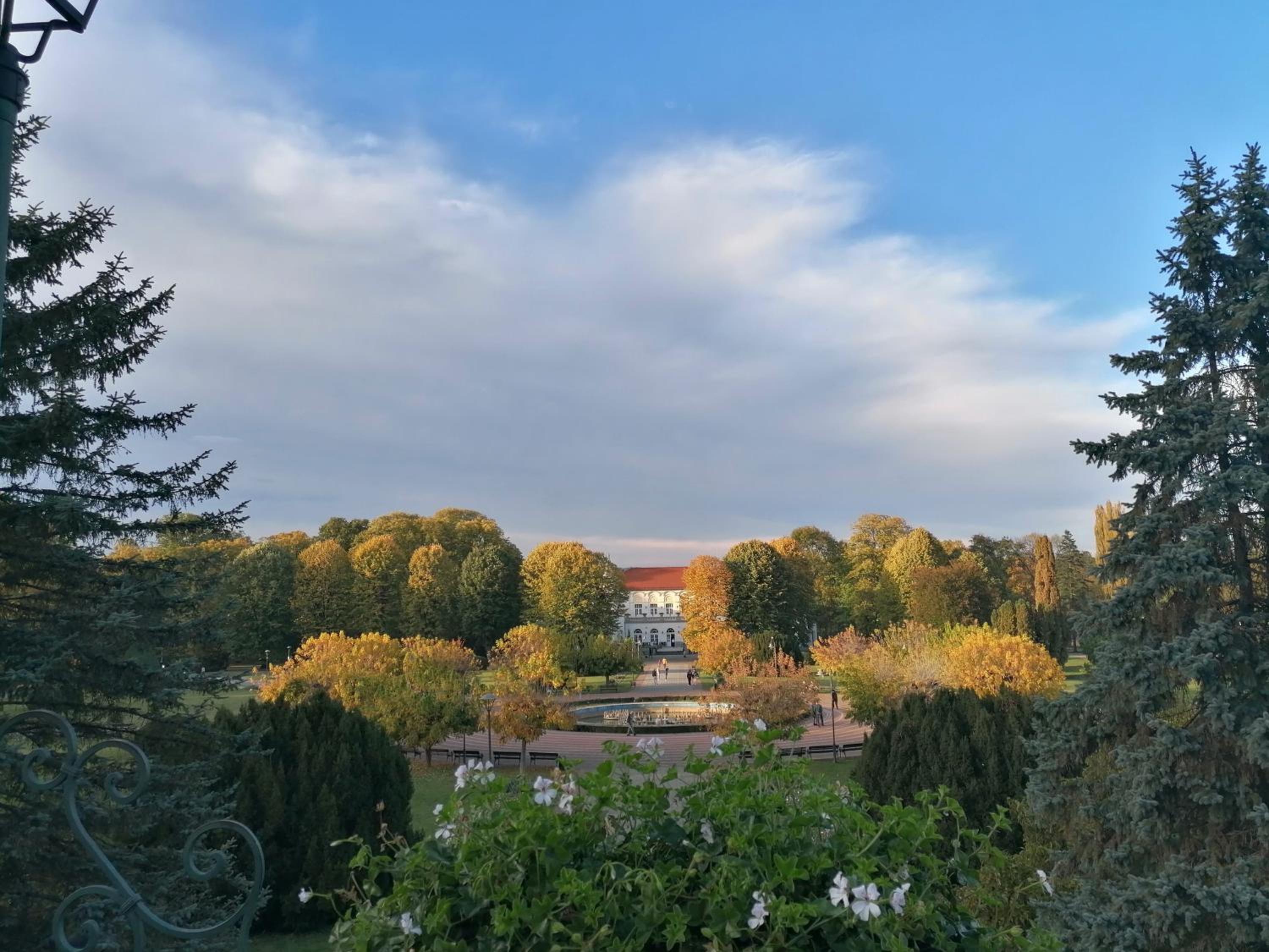 Apartman Sofia