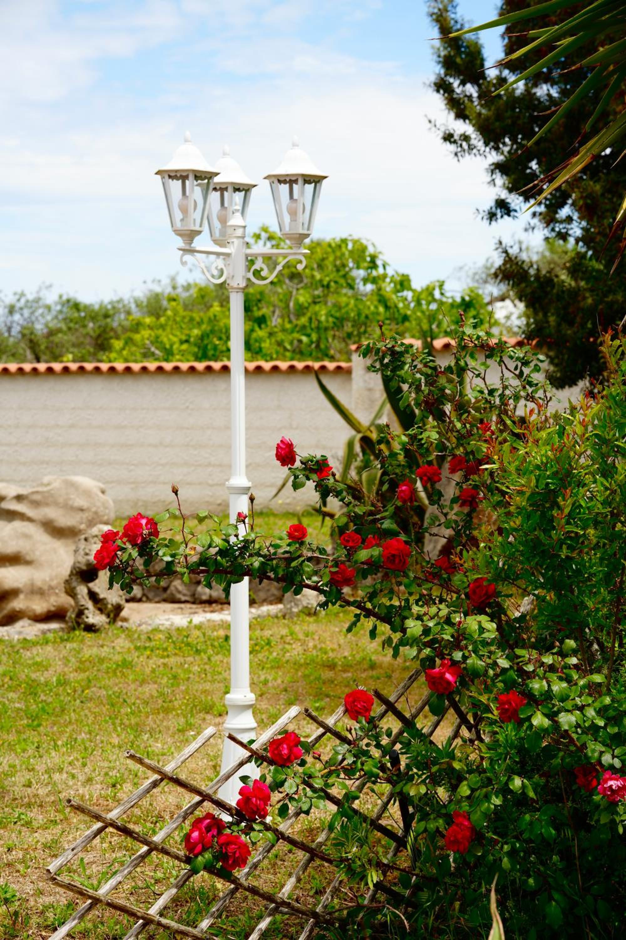 Il Ronchetto photo 3