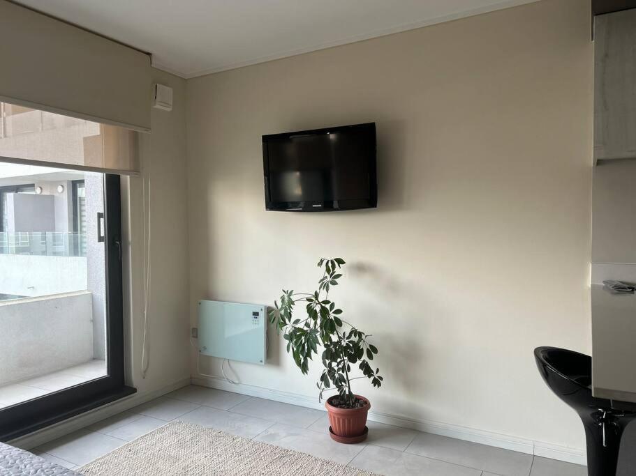Departamento Estudio, entero
