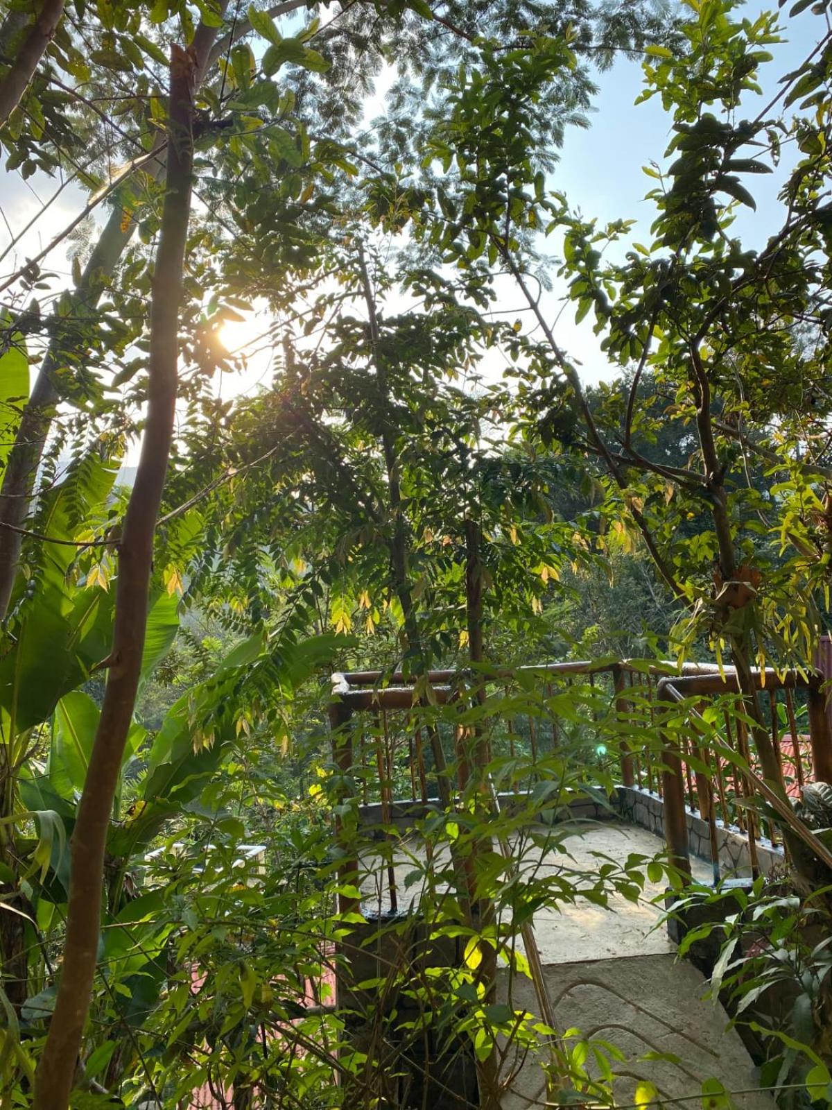 ecofinca la soñada