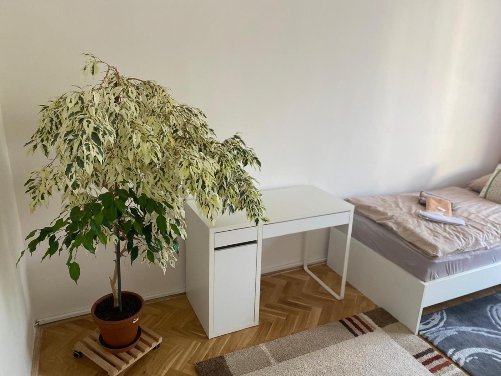 Apartmán BERLIN