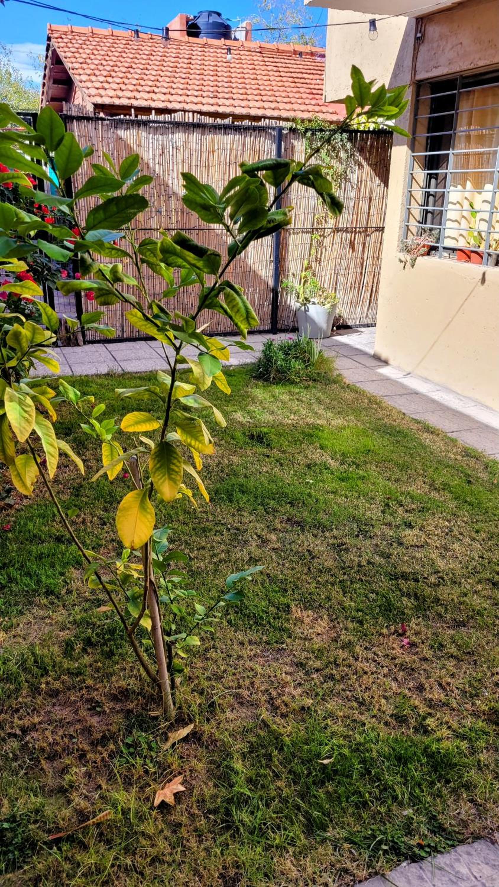 La casita de la 5ta