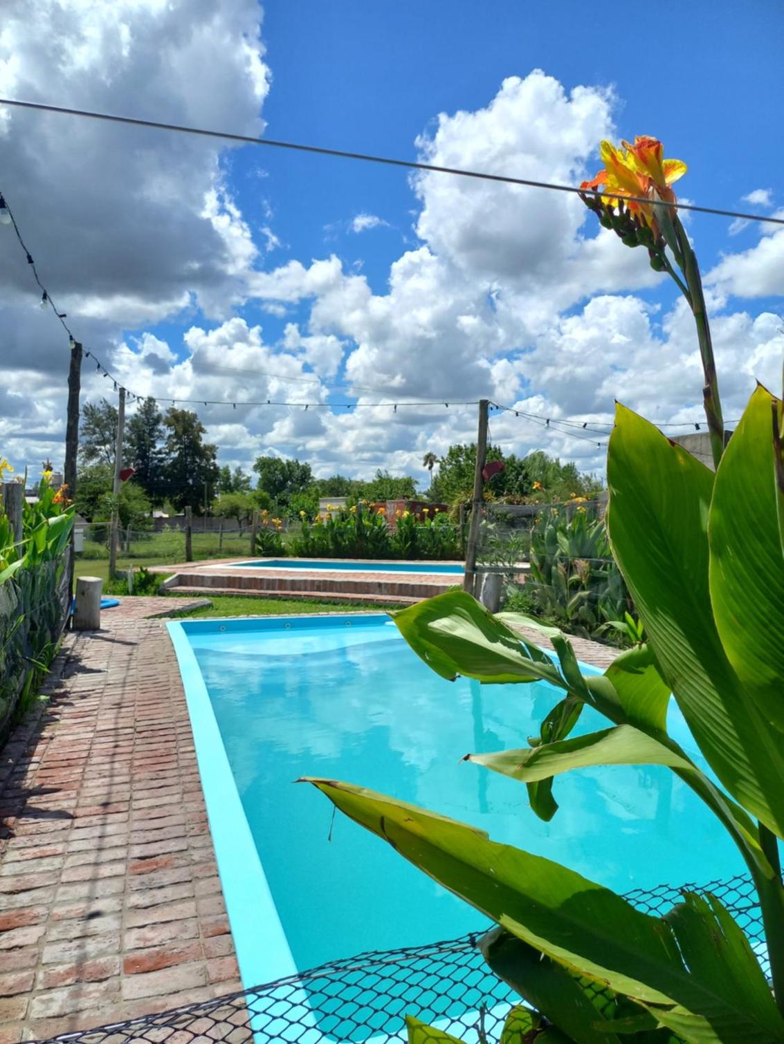 Complejo Aguas Termales
