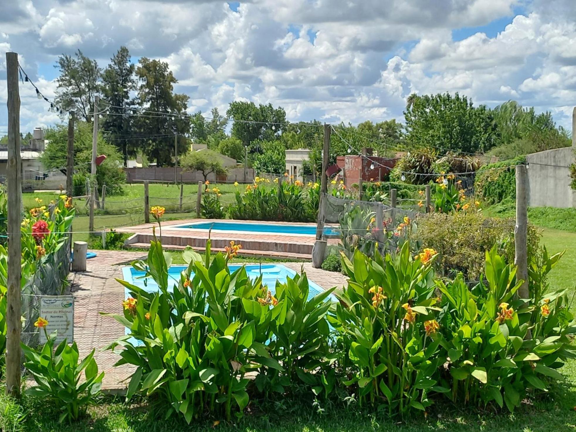 Complejo Aguas Termales