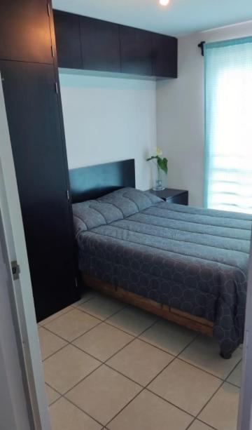 Habitación privada en céntrico departamento, photo 5