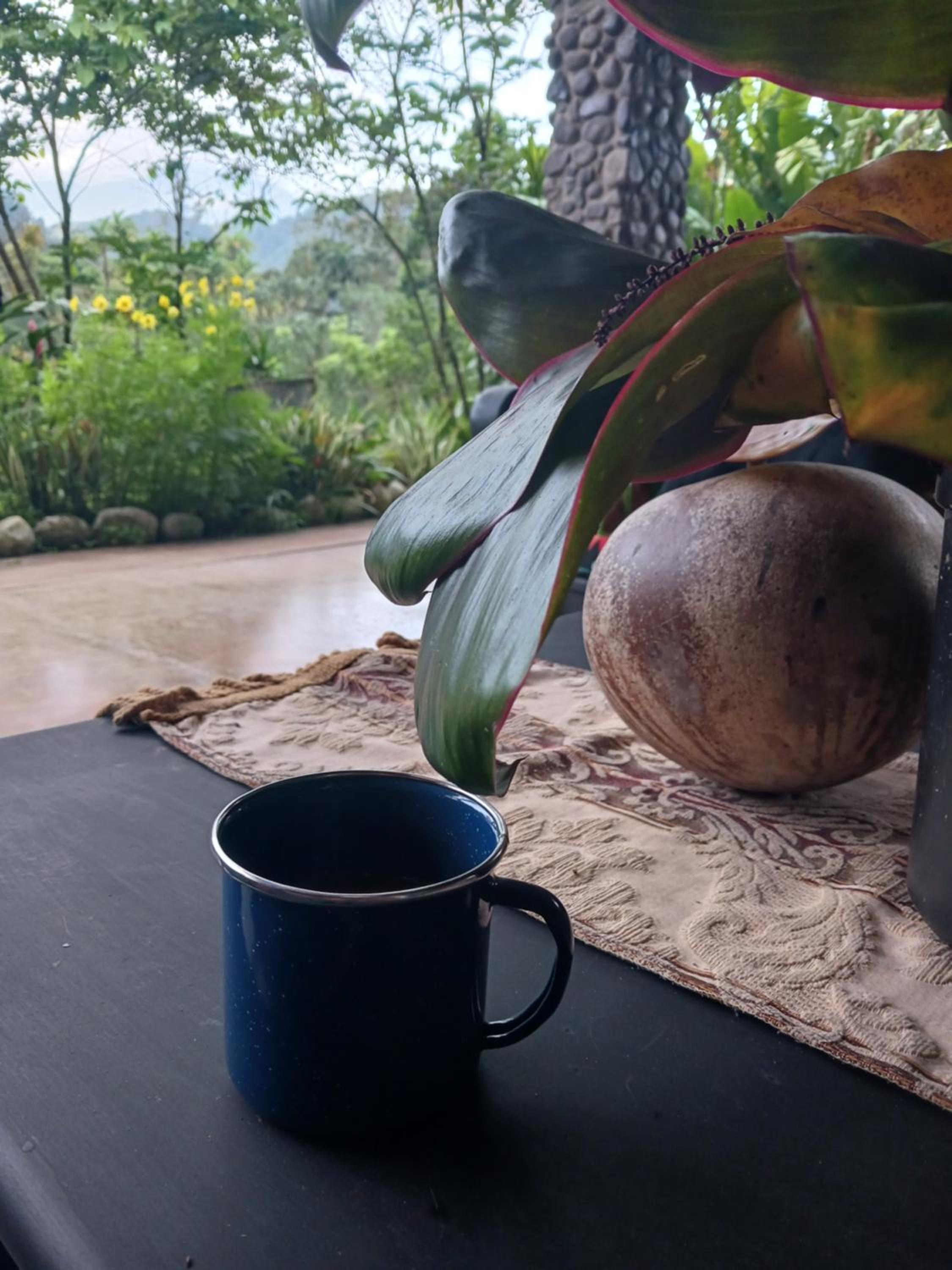 CASA TUCAN