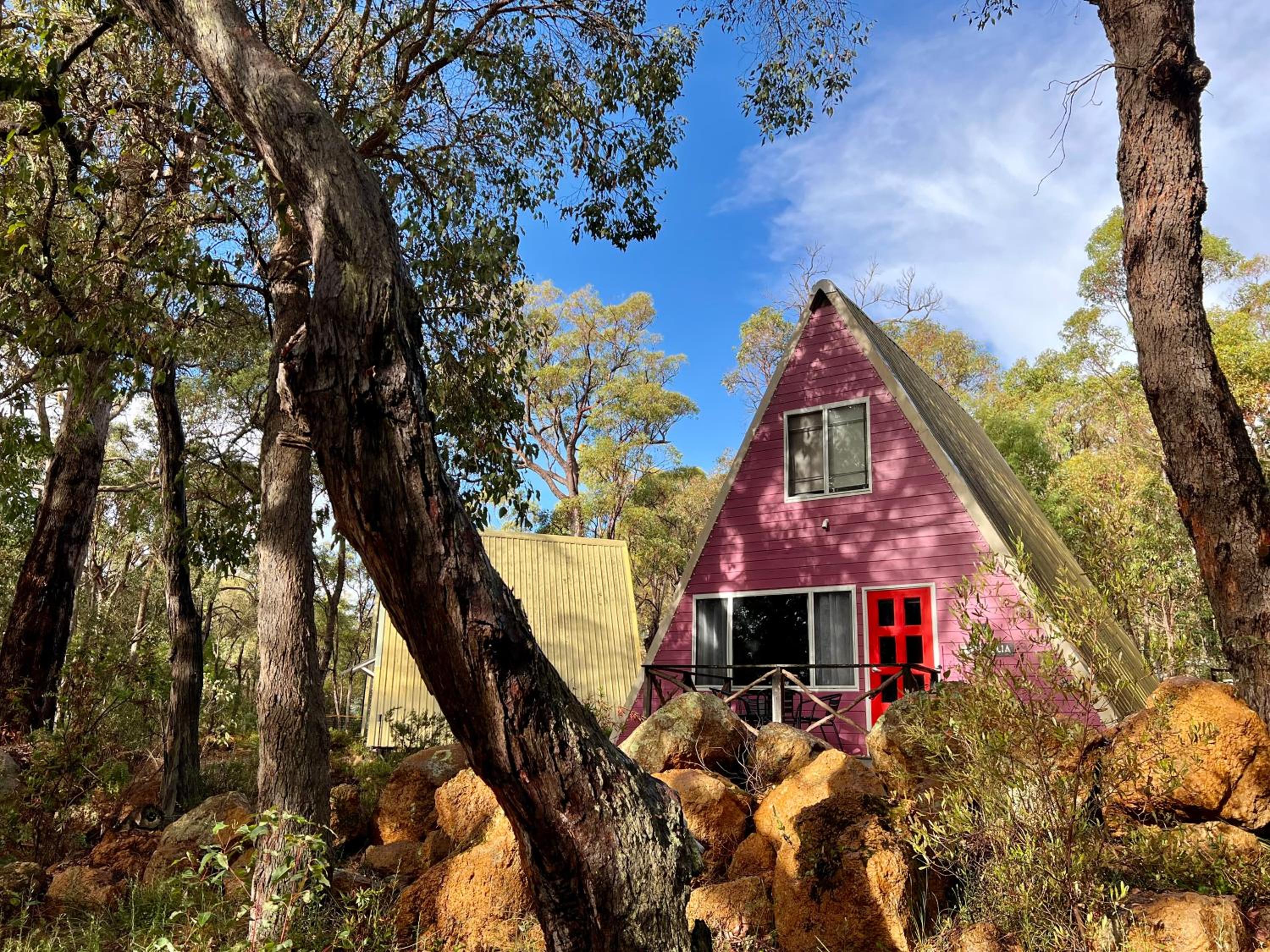 Grevillea at Porongurup Chalets