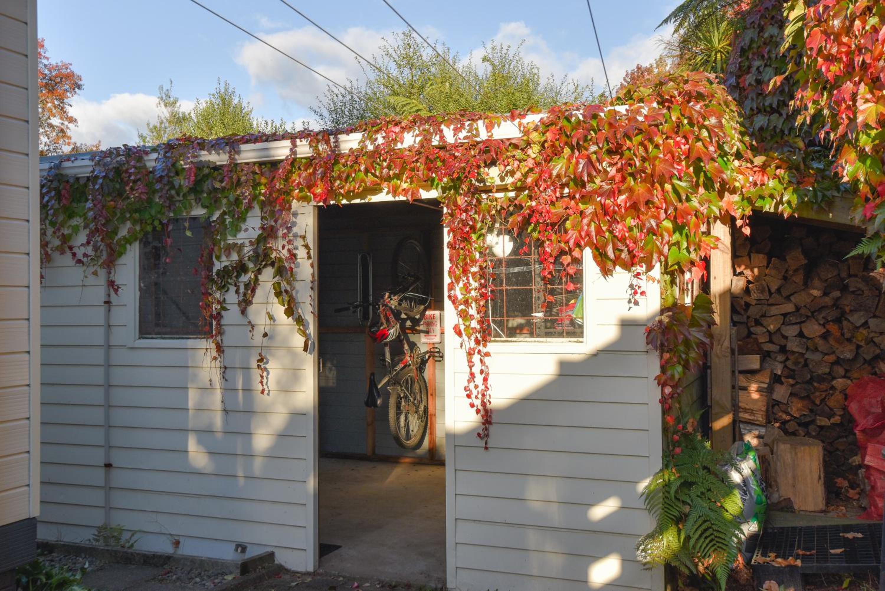 Photo 23