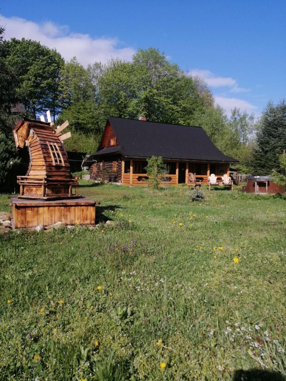 Photo 7
