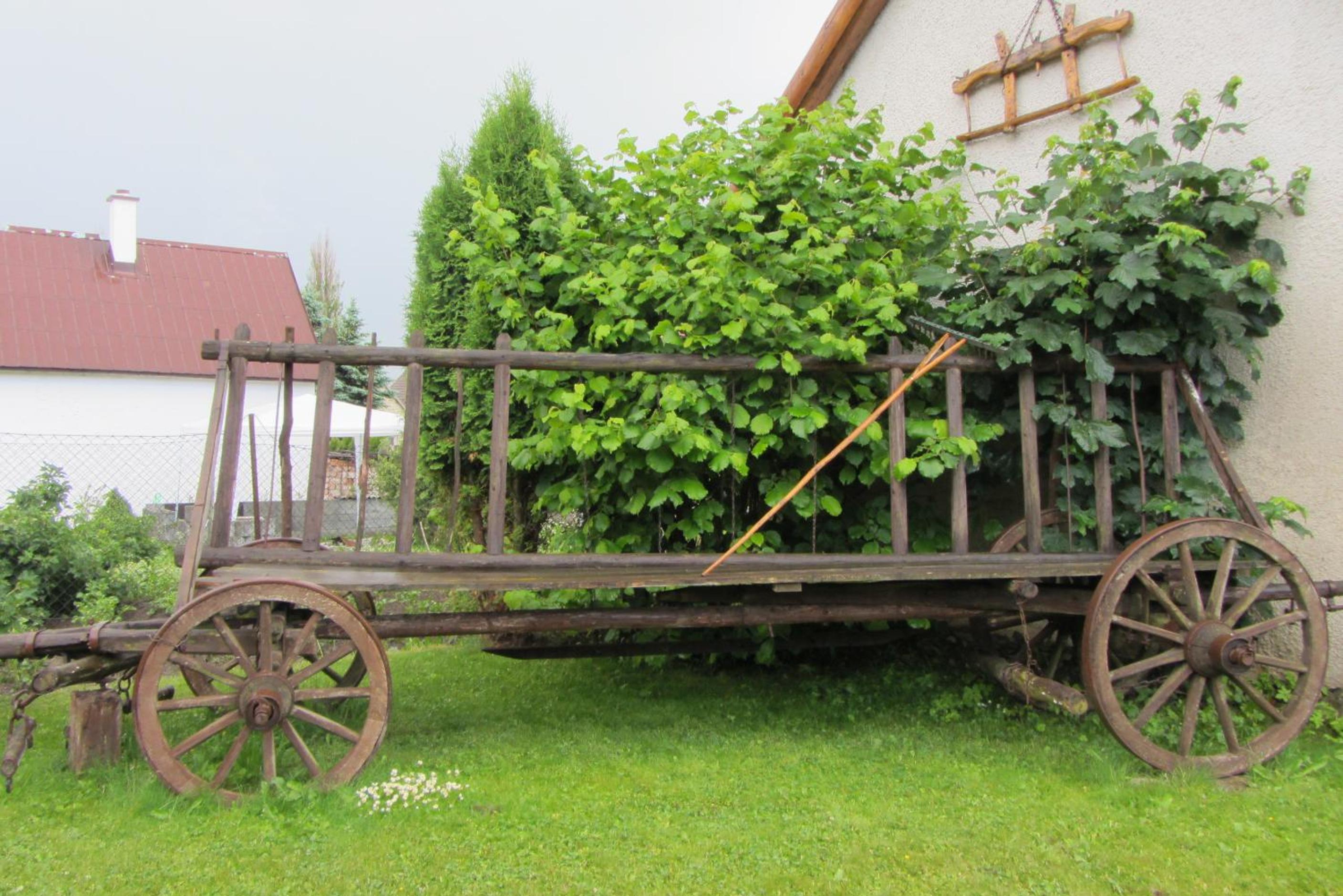 Photo 50
