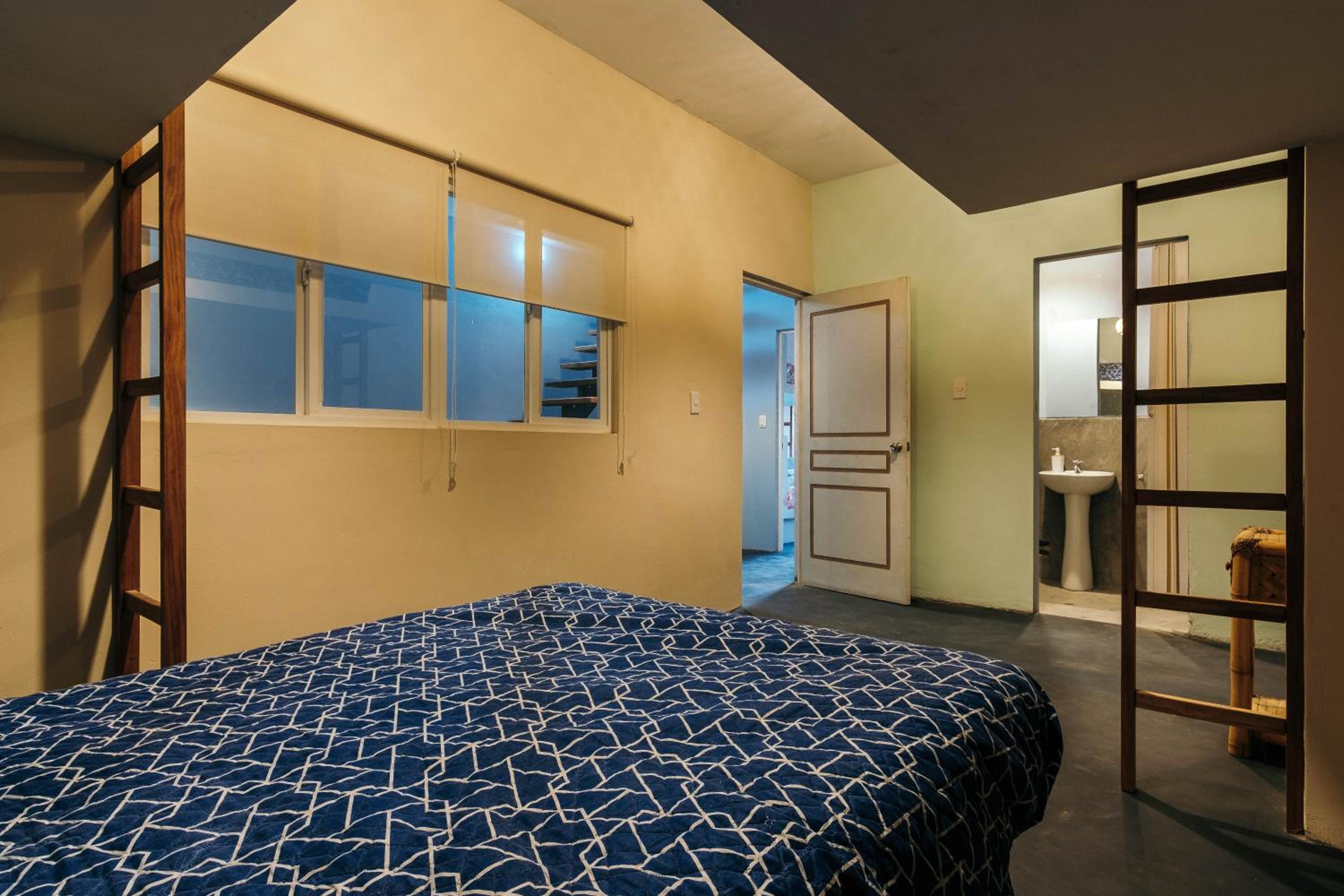 Spondylus Home