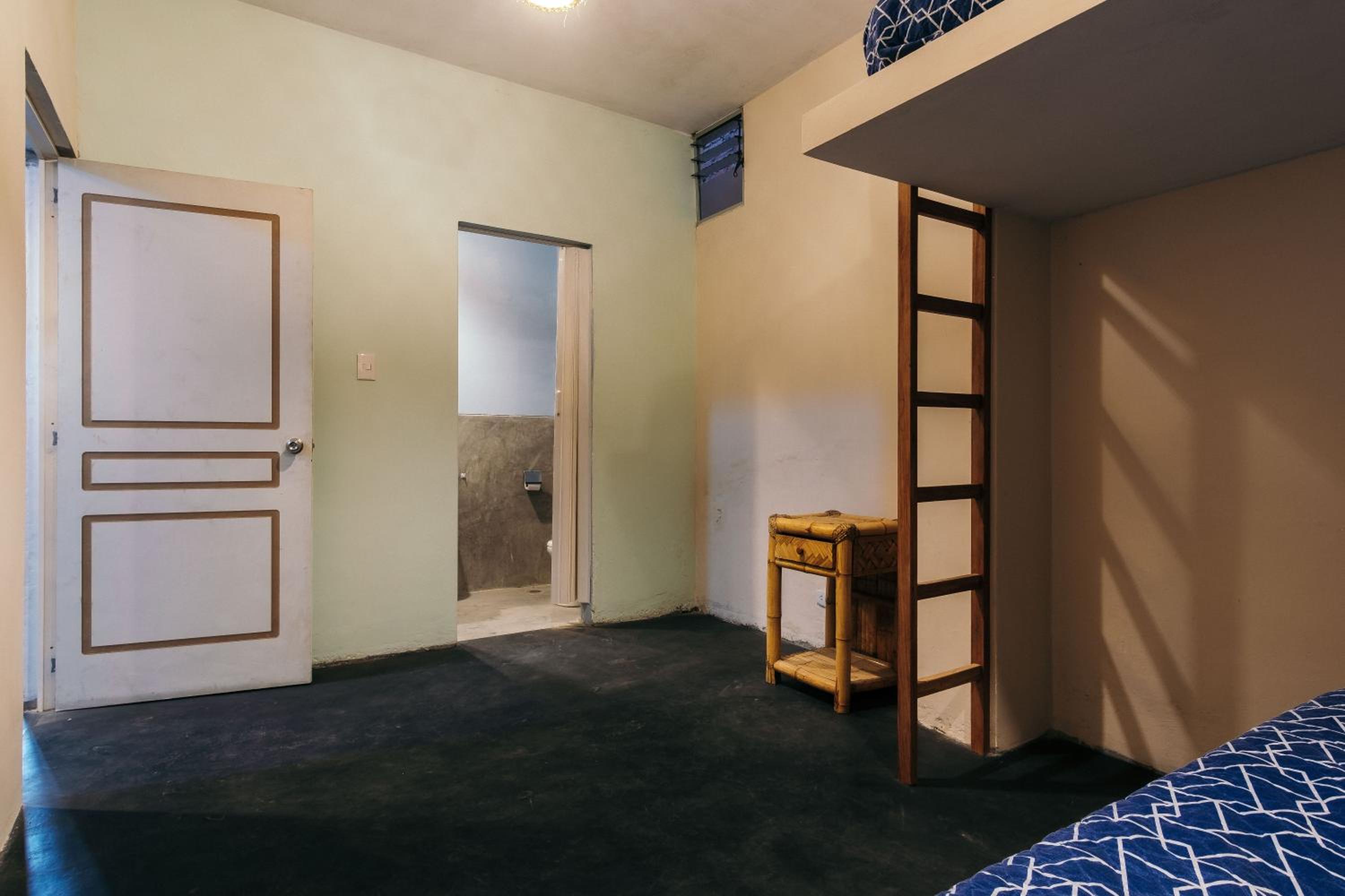 Spondylus Home