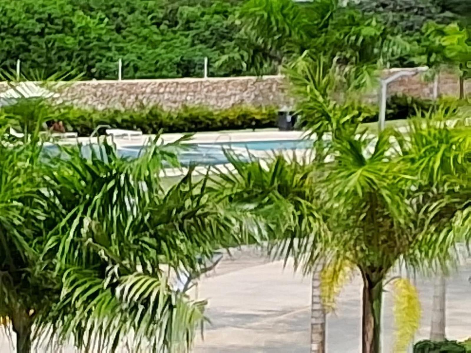 Pool View Punta Cana