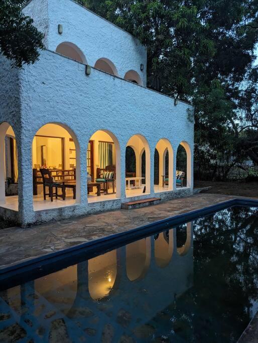 Shoreline Serenity in Malindi