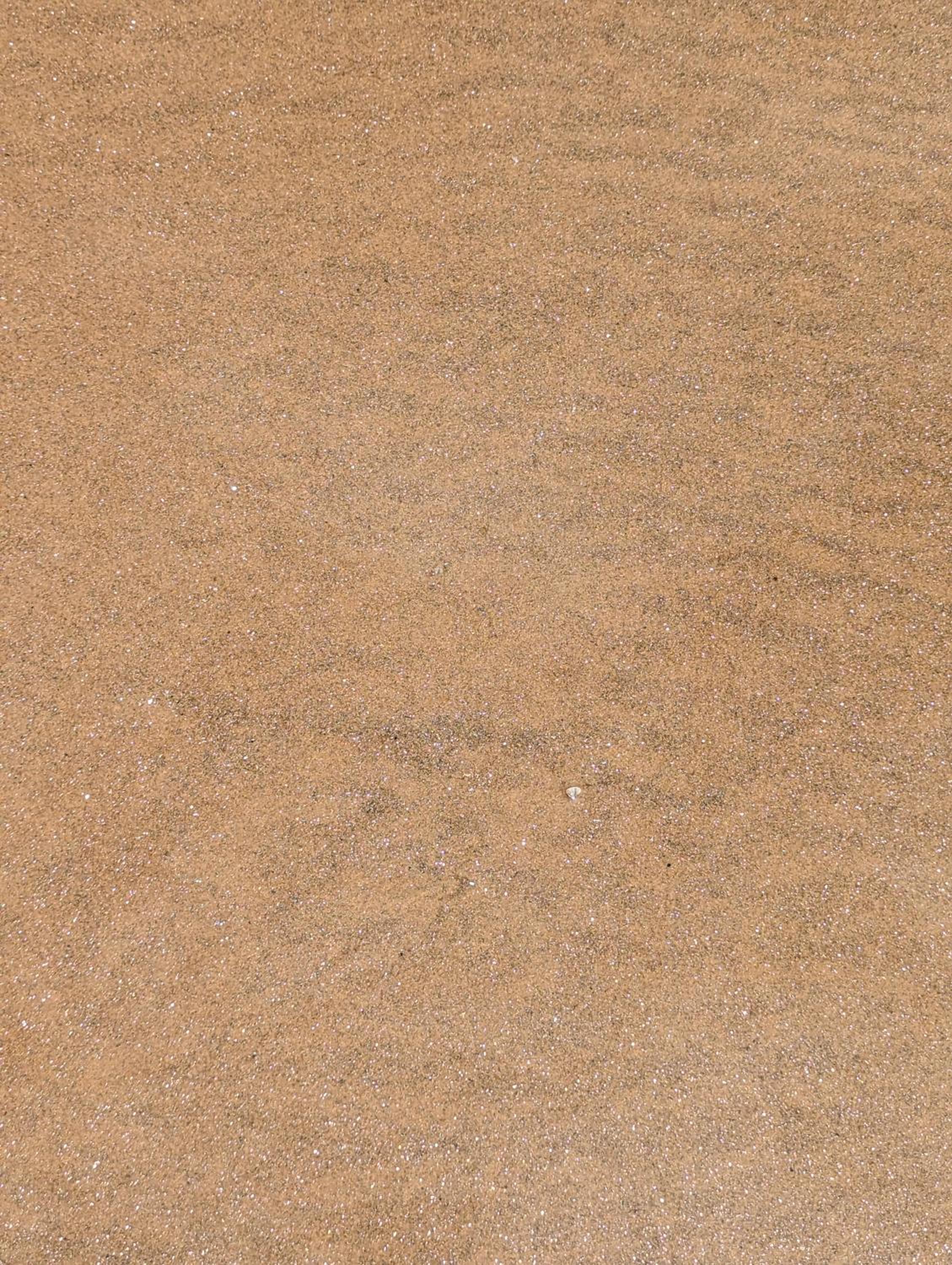 Shoreline Serenity in Malindi
