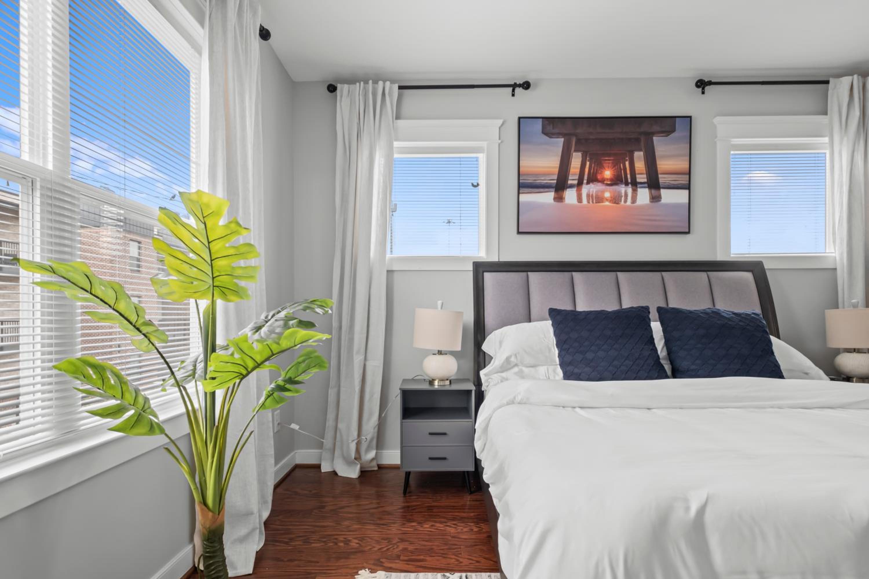Richmond Gem, Free Parking, Quiet, Fenced,Walkable view 3