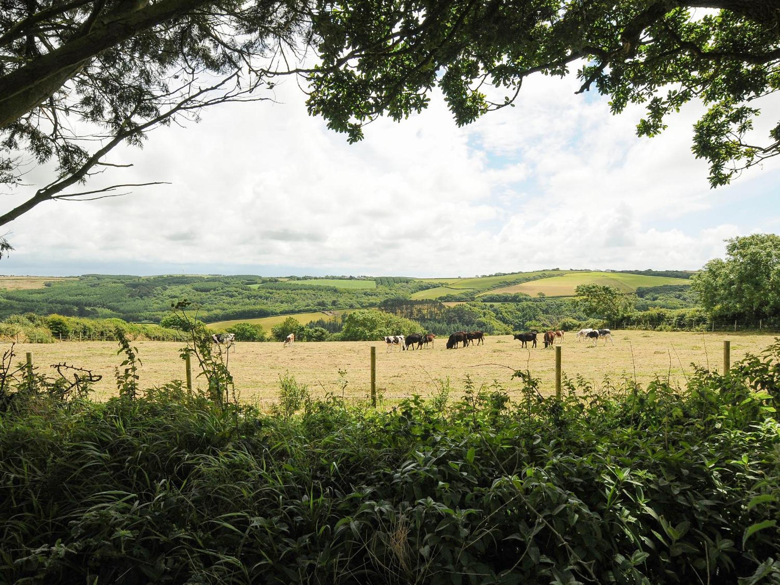 Lee Barton Farmhouse