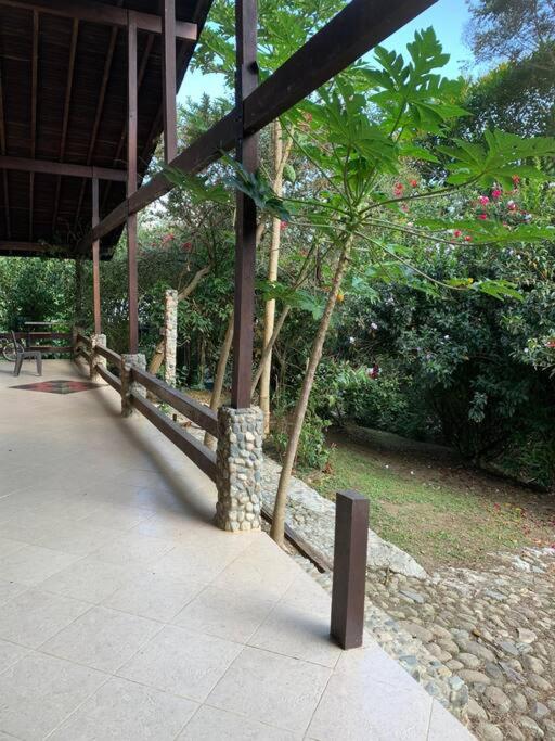 Finca completa bizcocho