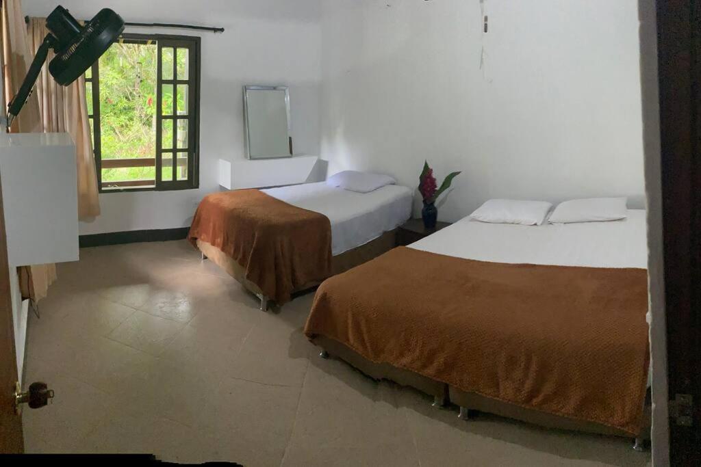 Finca completa bizcocho