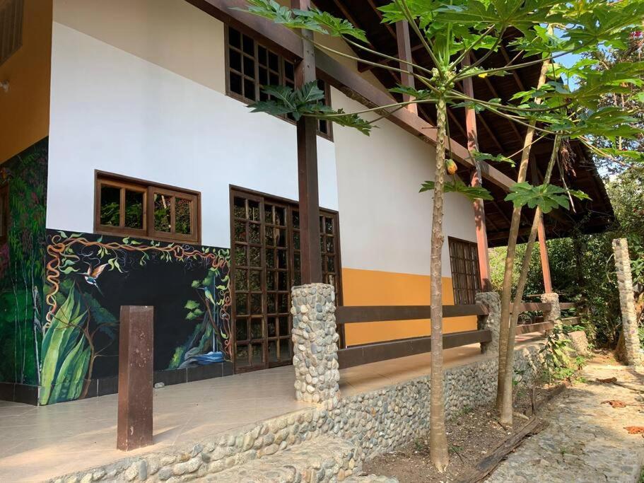 Finca completa bizcocho