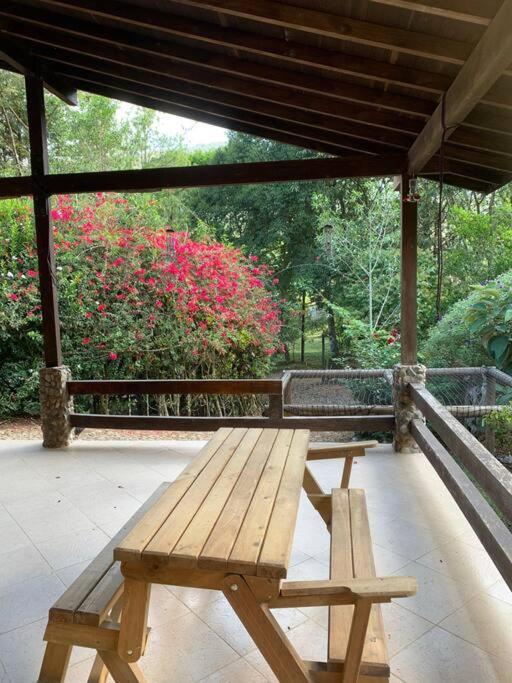 Finca completa bizcocho