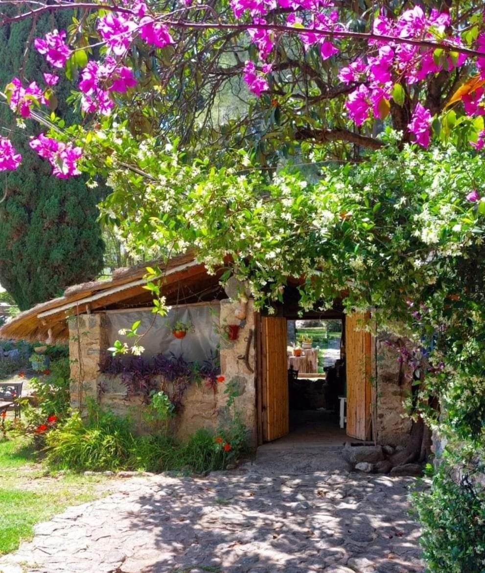 Cabañas spa el petrel