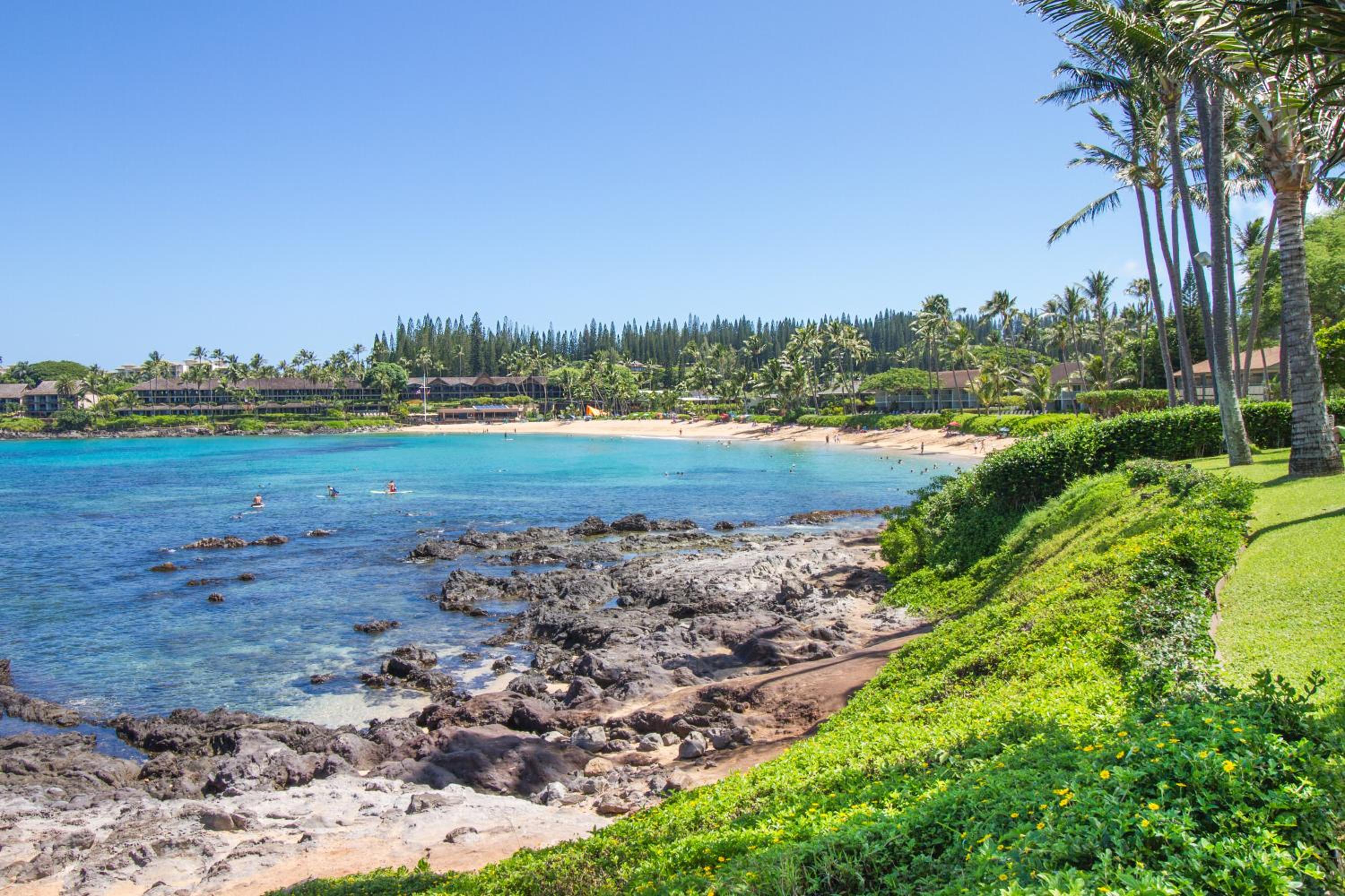 Napili Bay Steps from Ocean! nb204 - Sullivan view 3
