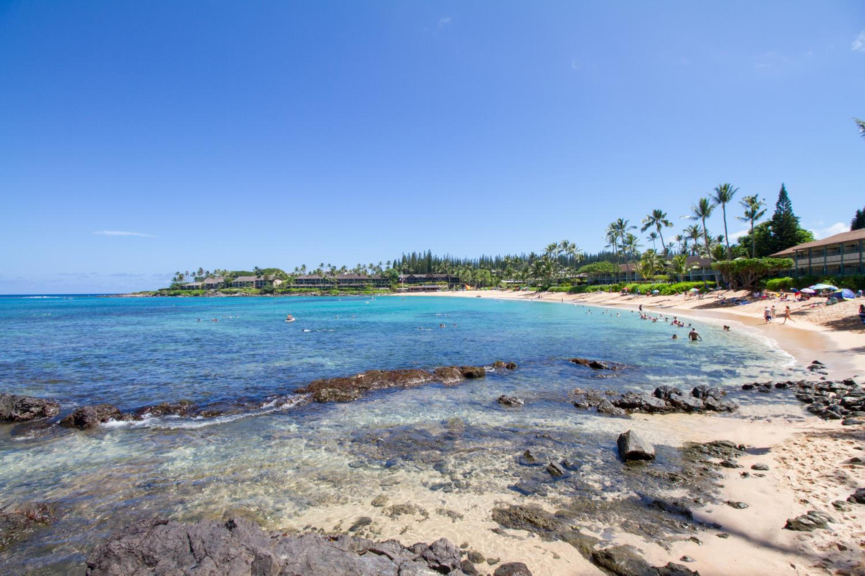 Napili Bay Steps from Ocean! nb204 - Sullivan view 5