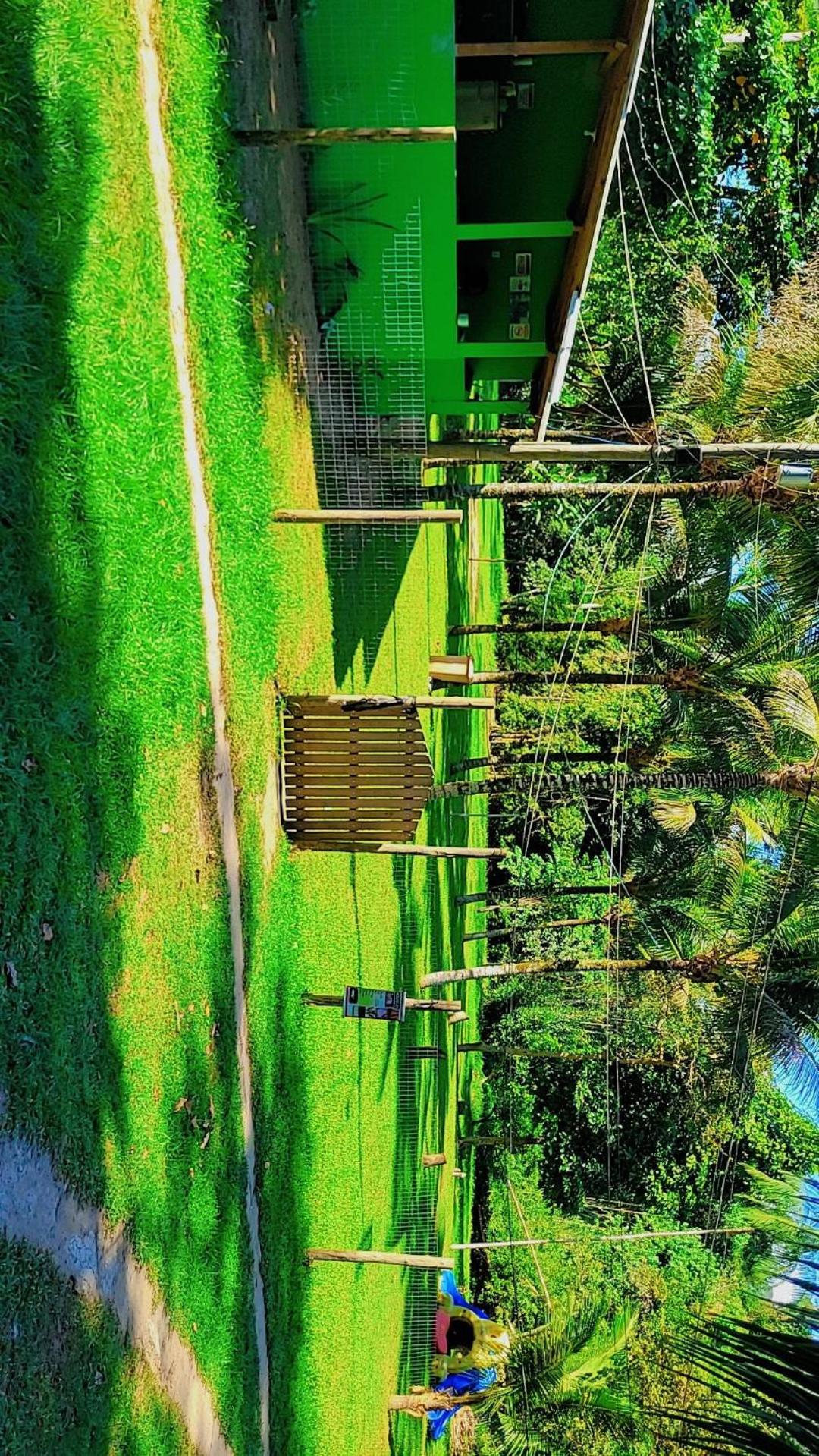 Parati mirim Kadoshi
