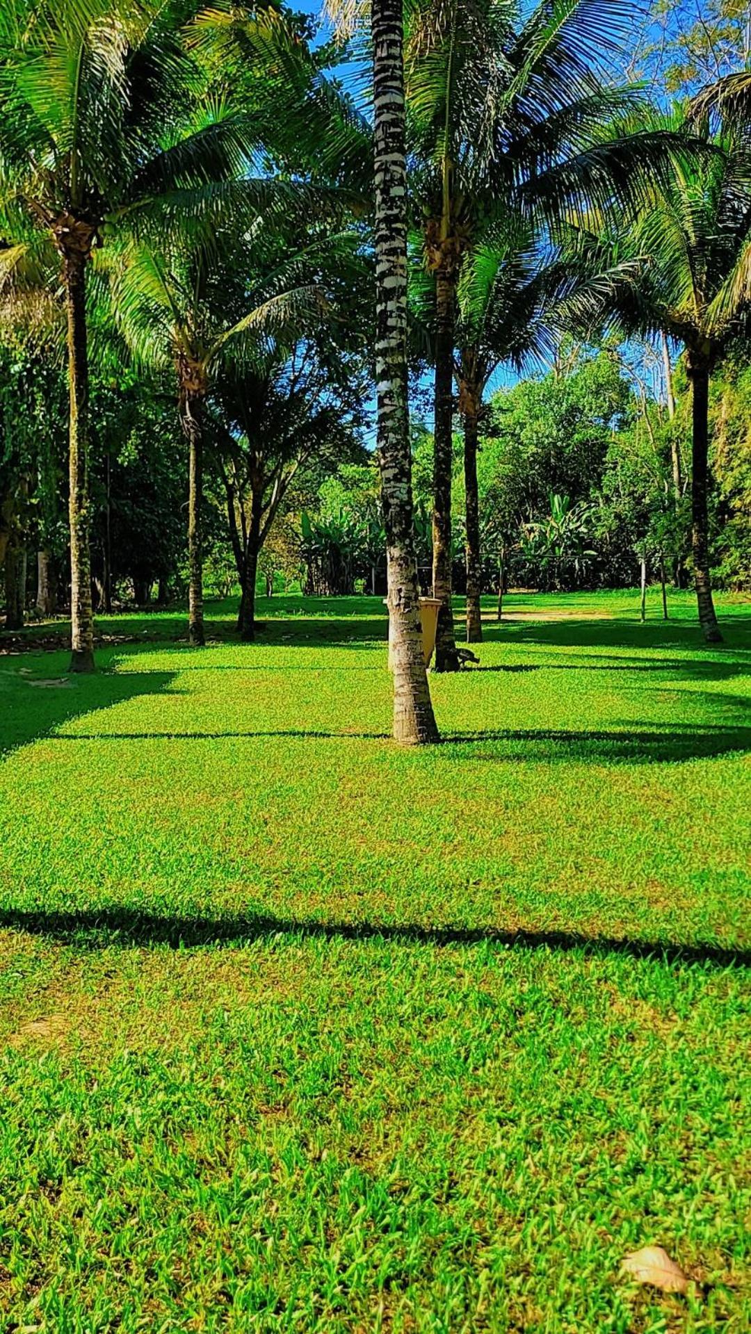 Parati mirim Kadoshi