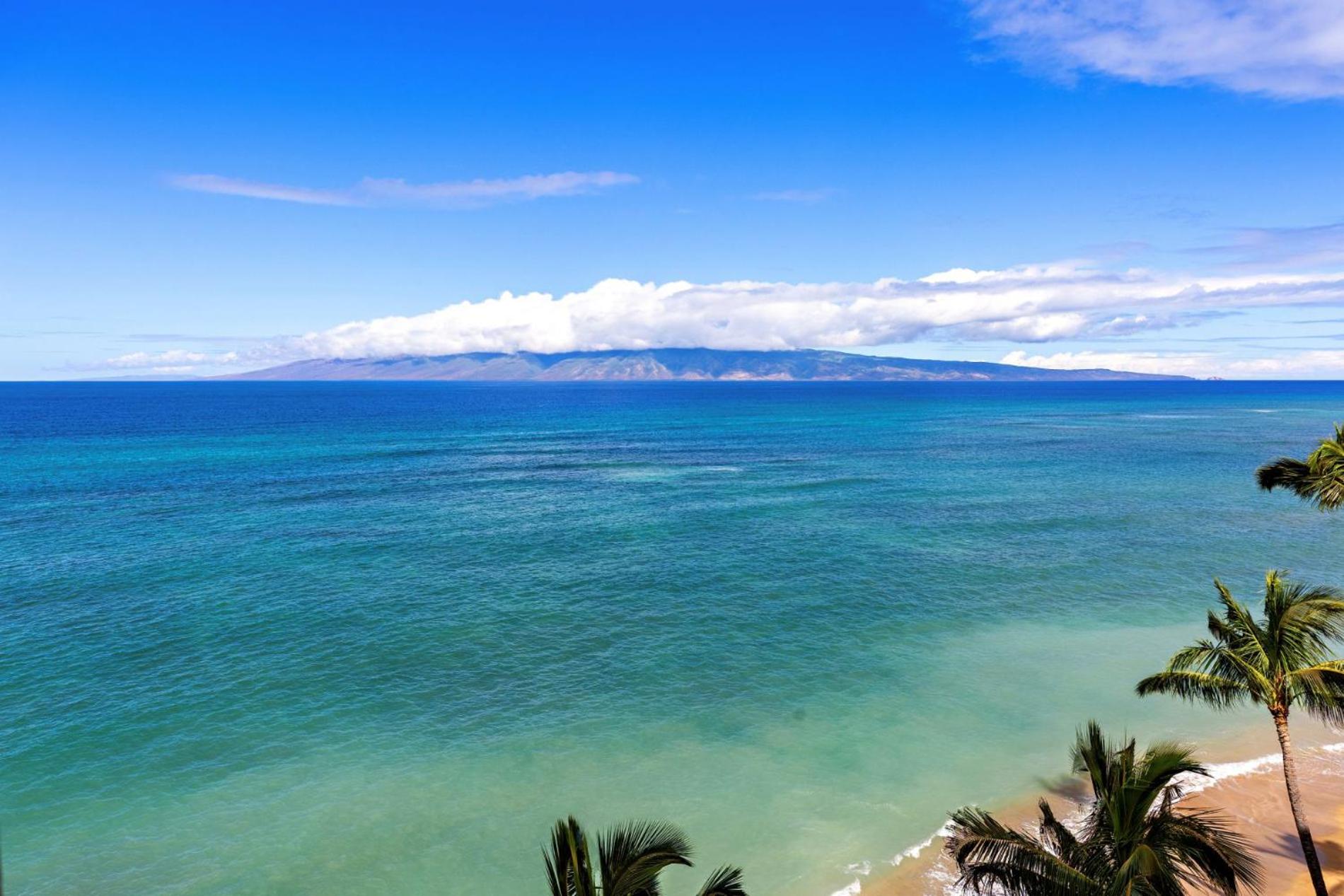 Oceanfront 1 bedroom- vi809- Sullivan view 5