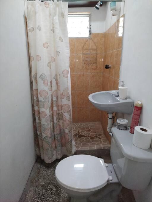 Holiday house with pool in San Lorenzo