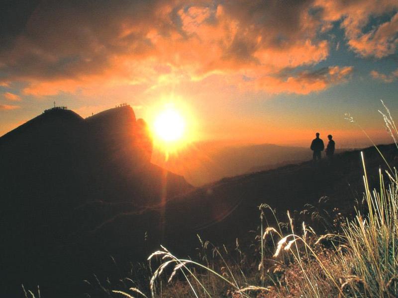 OXA - Easy Escape - Bed & Breakfast