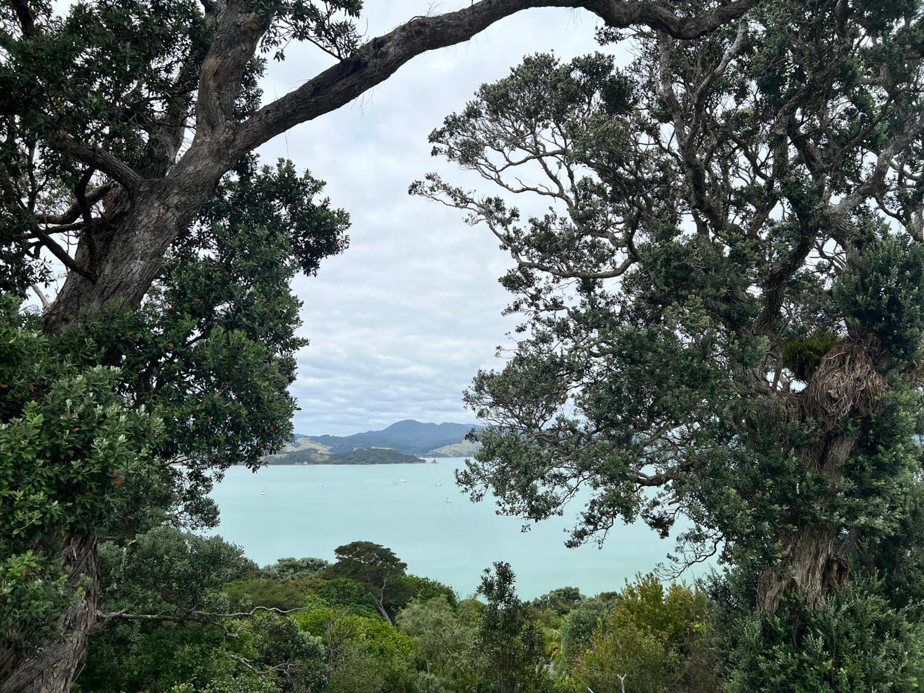 The Nest-Stunning seaview's view 5