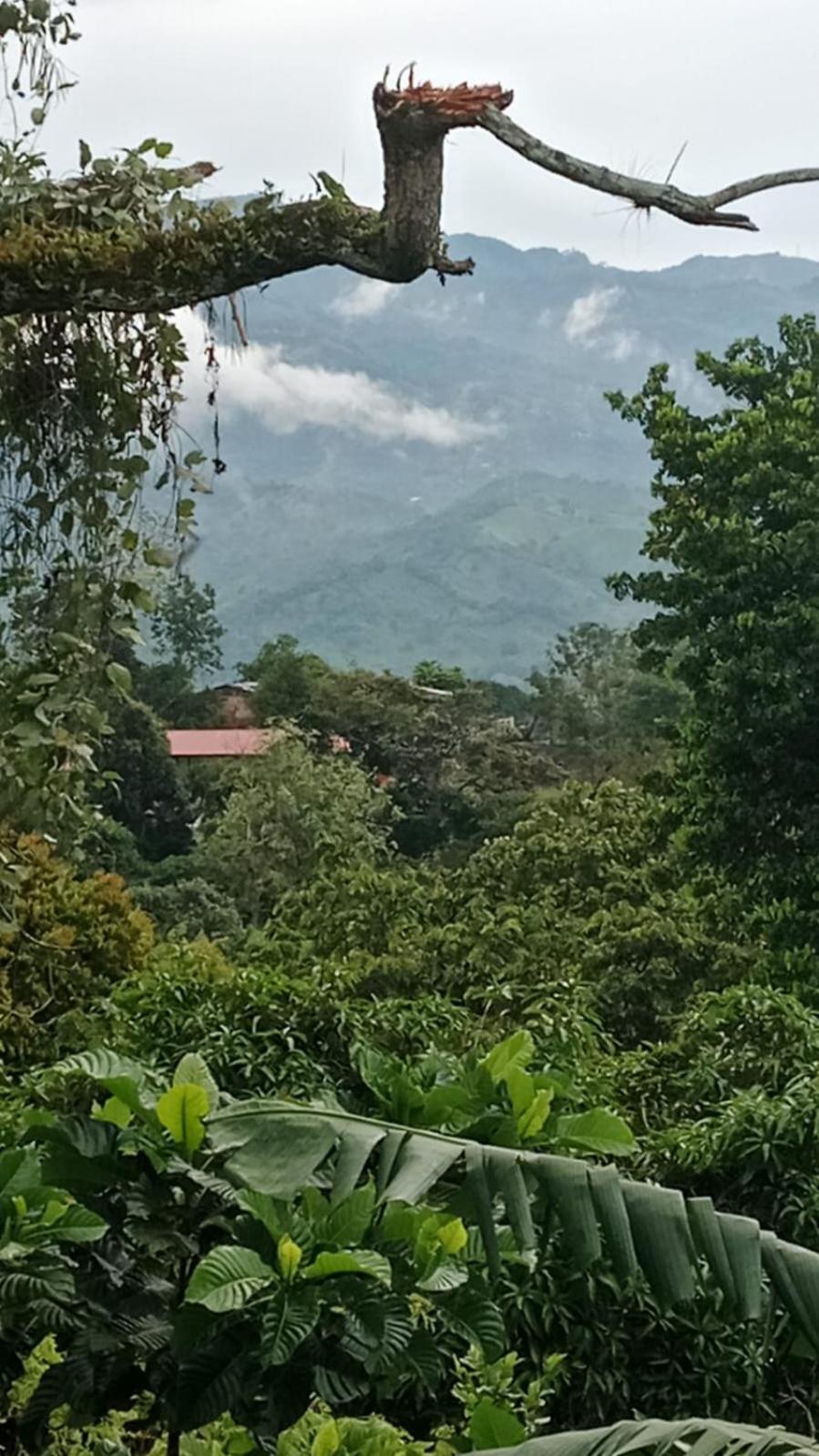 Finca Campestre El Mirador