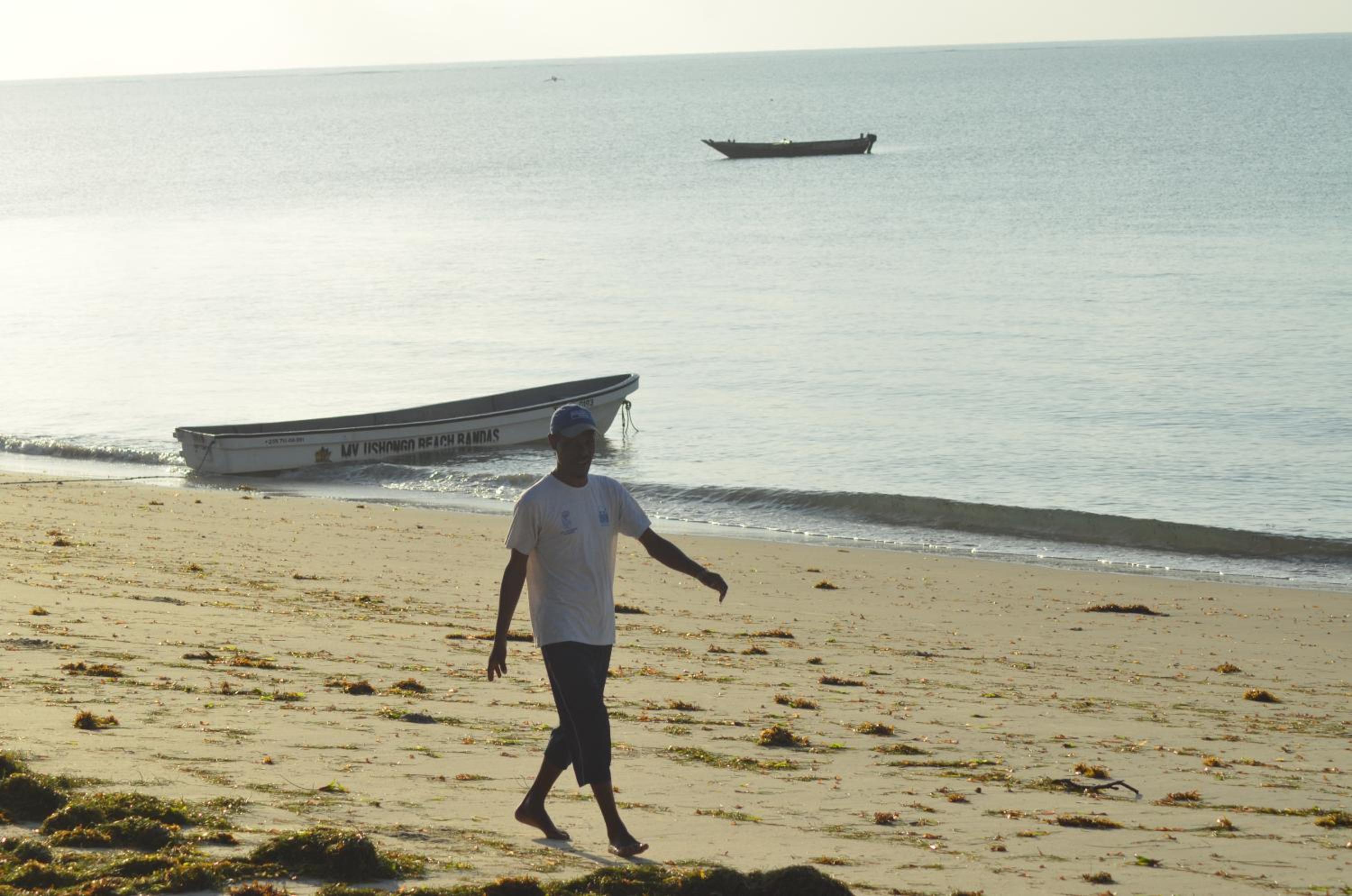 Photo 42