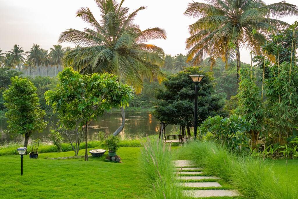 Villa Woods & Palms view 3