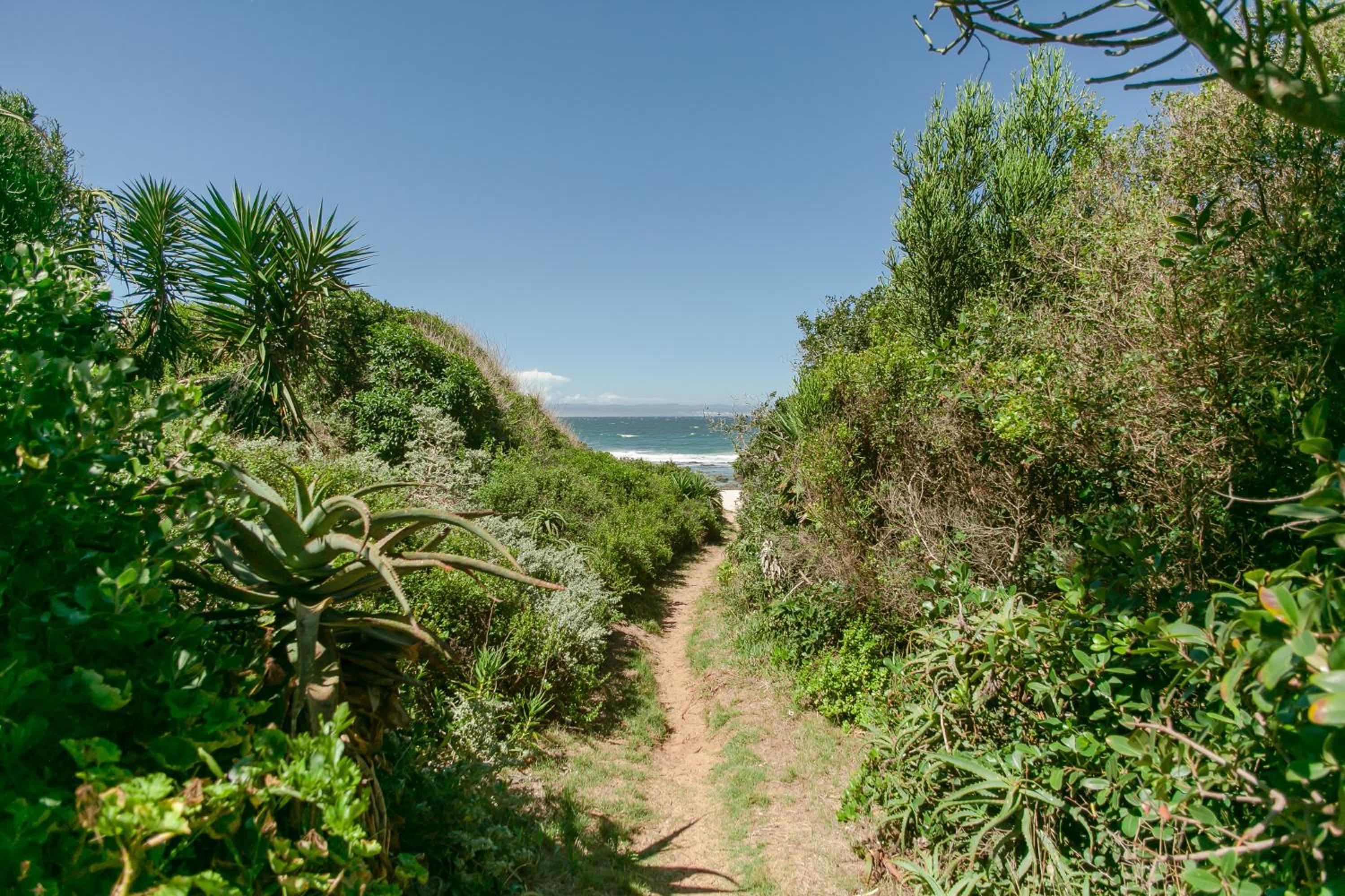 Surf n Sea Beachfront Holiday Home view 2