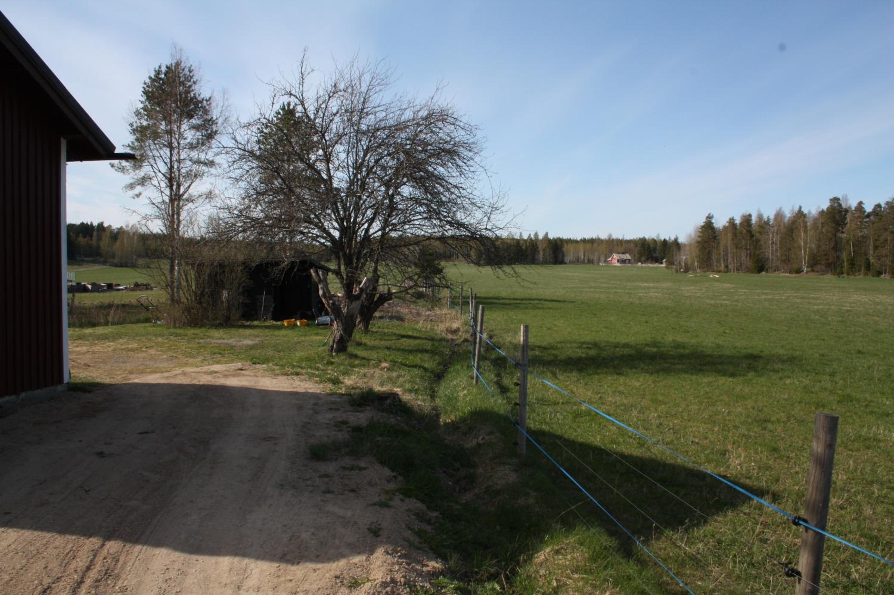 Peltosaaren Luomulammastila