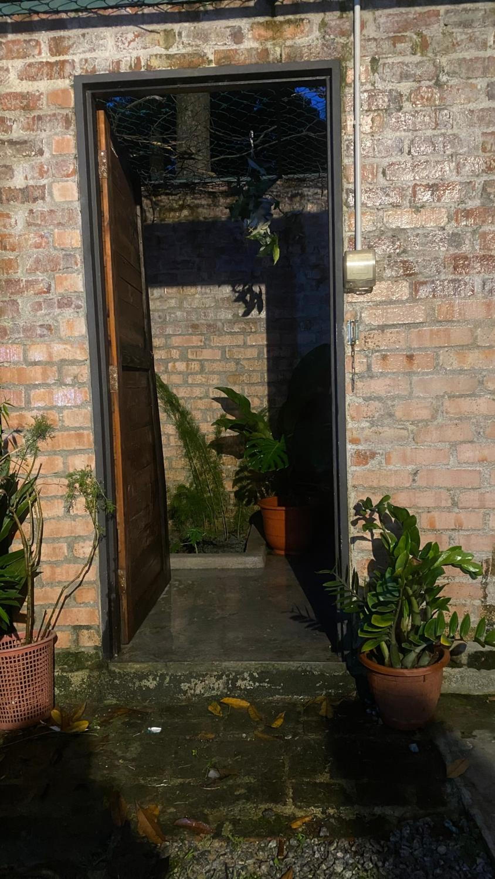 Kebun Puisi photo 7