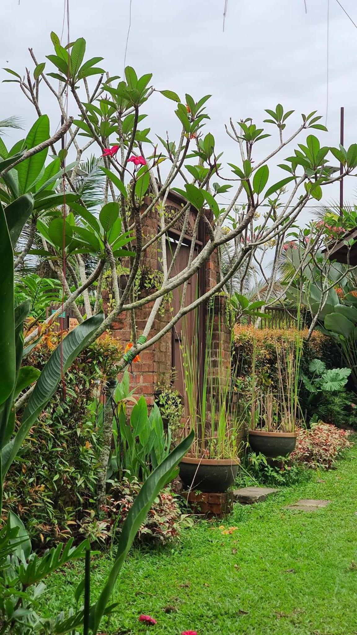 Kebun Puisi photo 1