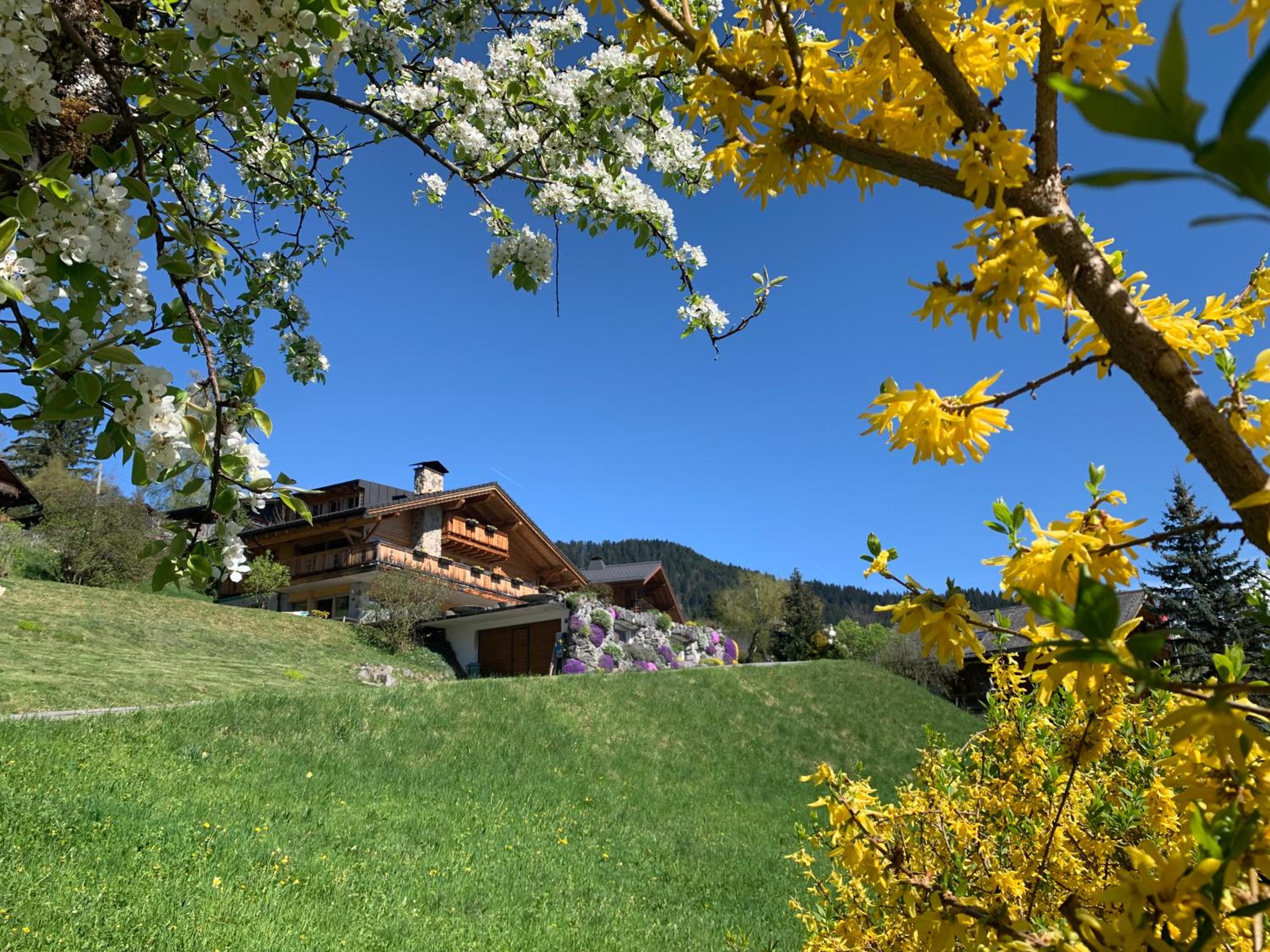 Chalet La Renarde